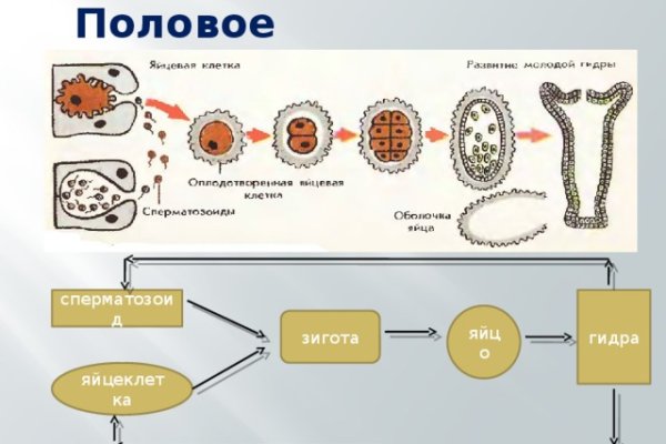 Что случилось с кракеном сайт